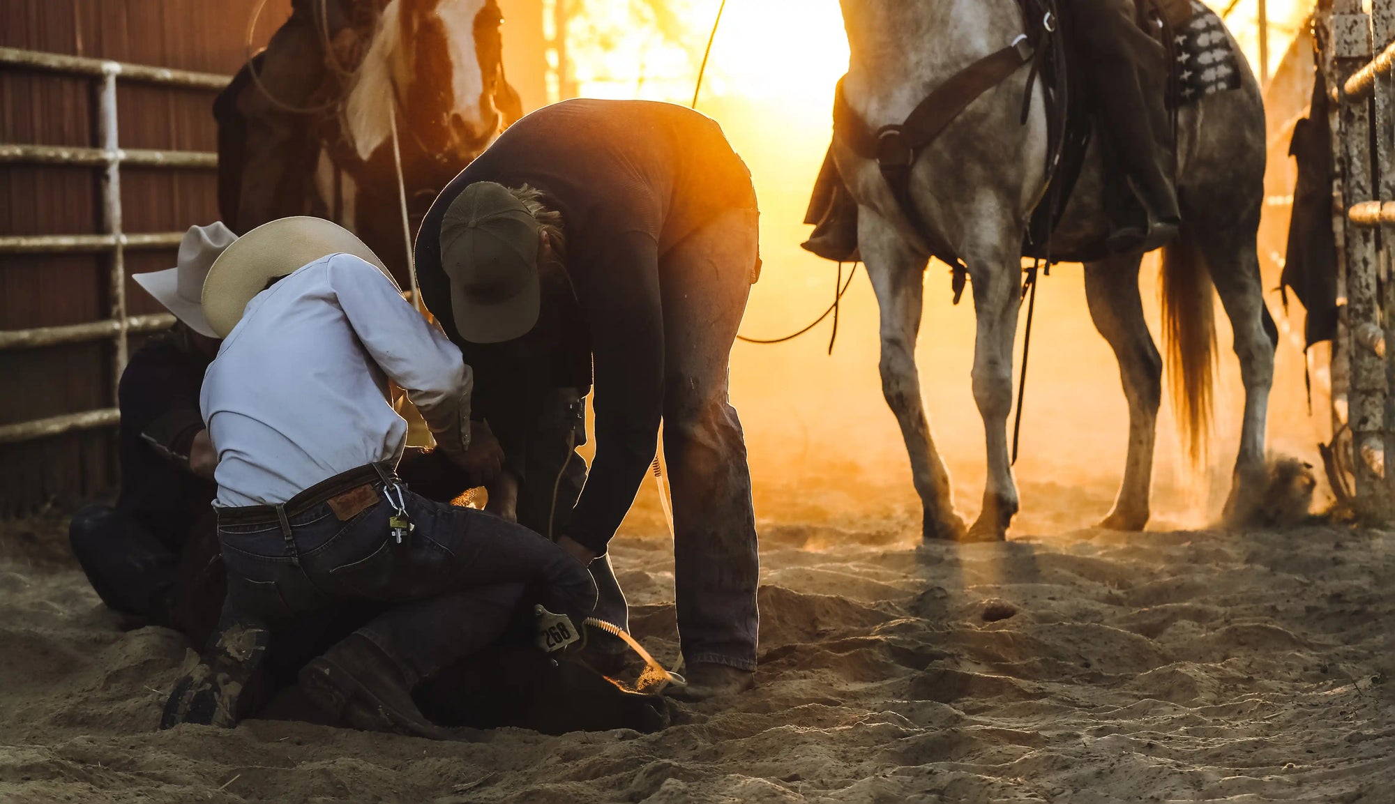 The Happy Hollow Ranch