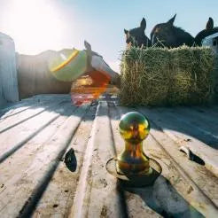 8G9A0072-edit-WEB_copy