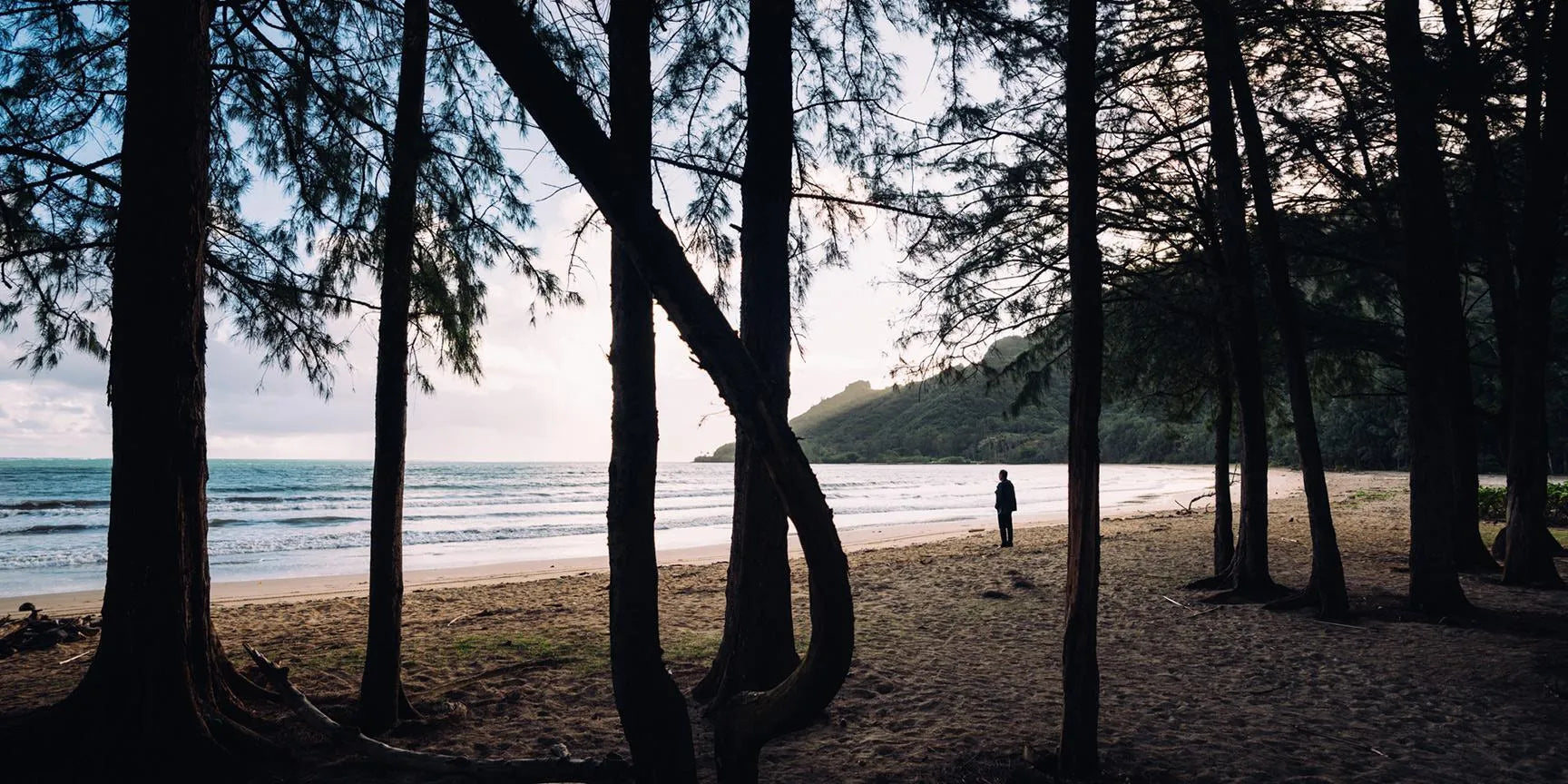 A7404445_kelley-WEB-long_0