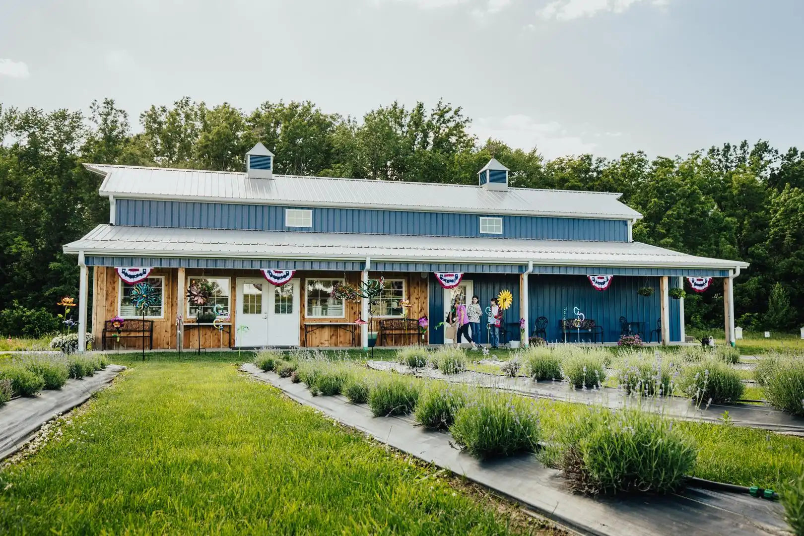 BattlefieldLavender-farm-1