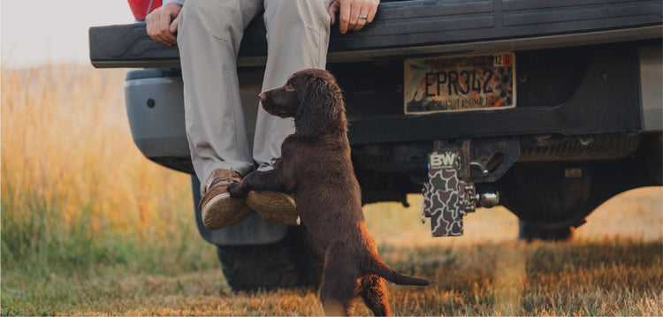 A puppy with its front 2 paws resting on a persons shoes who's sitting on a pickup bed above a Camo Tow & Stow hitch.