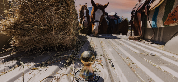 A close-up outdoor shot of a turnoverball gooseneck hitch in a pickup bed, with hay bales, horses, and tack visible in the background.