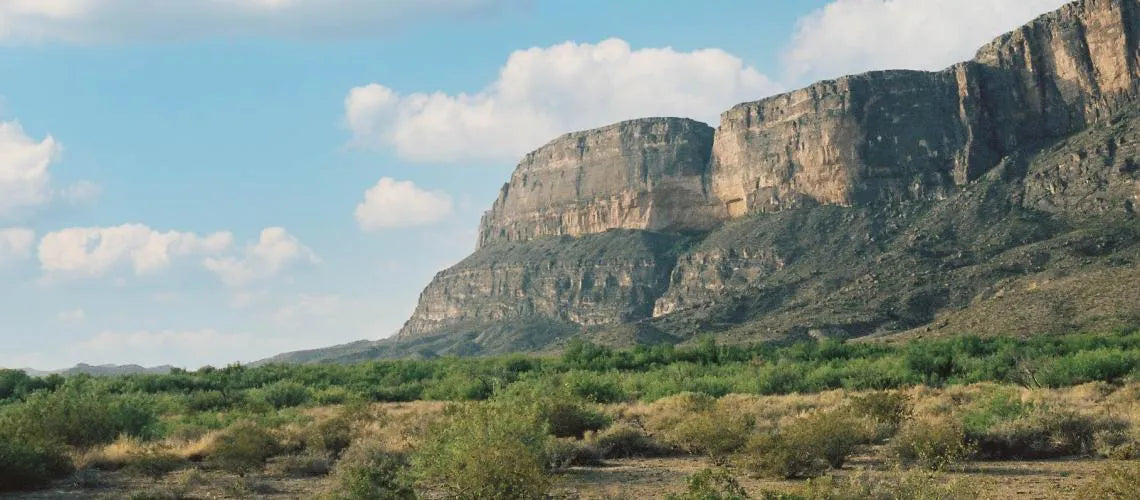 Scenic view of a desert landscape with large cliffs and sparse vegetation.