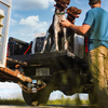 A man in a blue t-shirt and khaki pants pets two brown and white bird dogs sitting in the bed of a pickup truck outdoors under a blue sky.