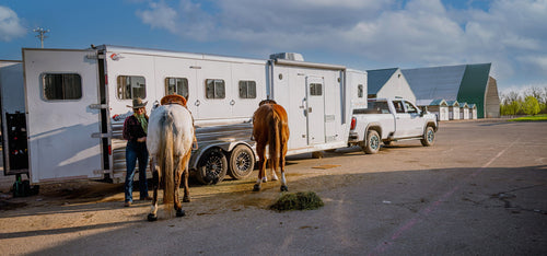 bwtrailerhitches-oem-ball-and-safety-chain-kit-home-page-spring-2026