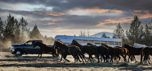 bwtrailerhitches-turnoverball-home-page-winter-2025-header_8_a5148eef-e52f-4c6d-a32b-39f9130822f3